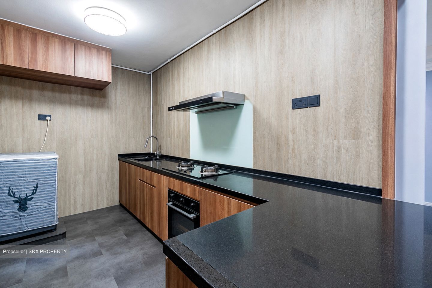 Segar Road (Bukit Panjang),  #561820851